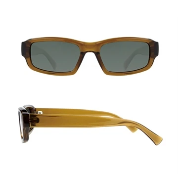 Sunglasses type characteristics