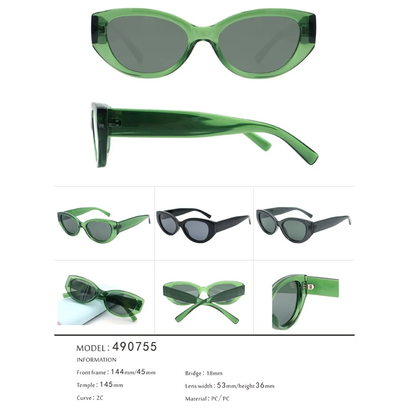 1 Retro Vintage Small Cateye Women Sunglasses for Street 490755 1 Retro Vintage Small Cateye Women Sunglasses for Street 490755
